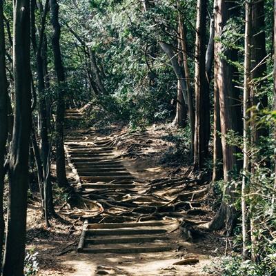 太空前线正式版下载